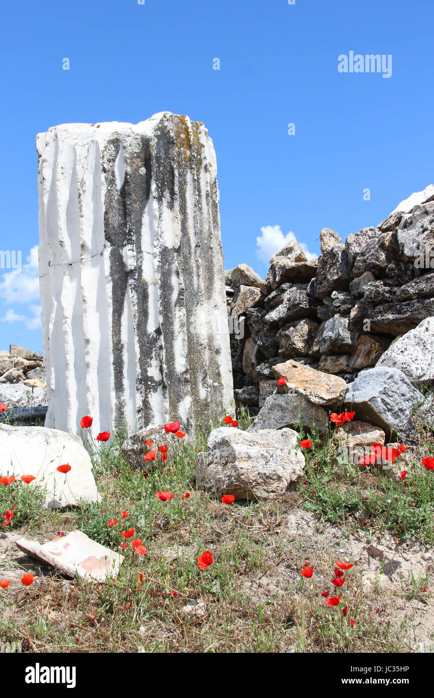 Foto verticale: un pezzo di musica classica greco antico le colonne e le rovine di un muro di pietre e su uno sfondo di erba verde, fioritura papaveri rossi, blu cielo Foto Stock