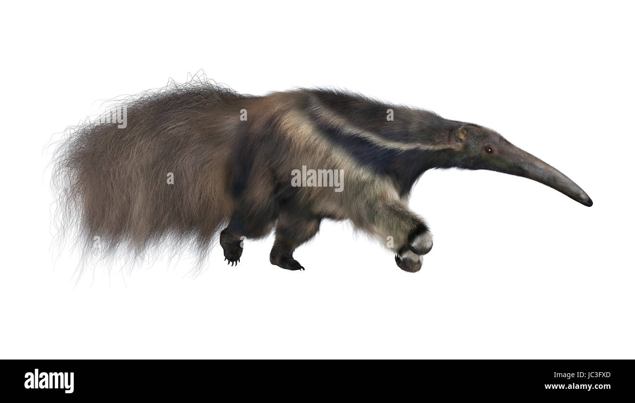 3D render digitale di un sorprendente animale anteater gigante isolato su sfondo bianco Foto Stock