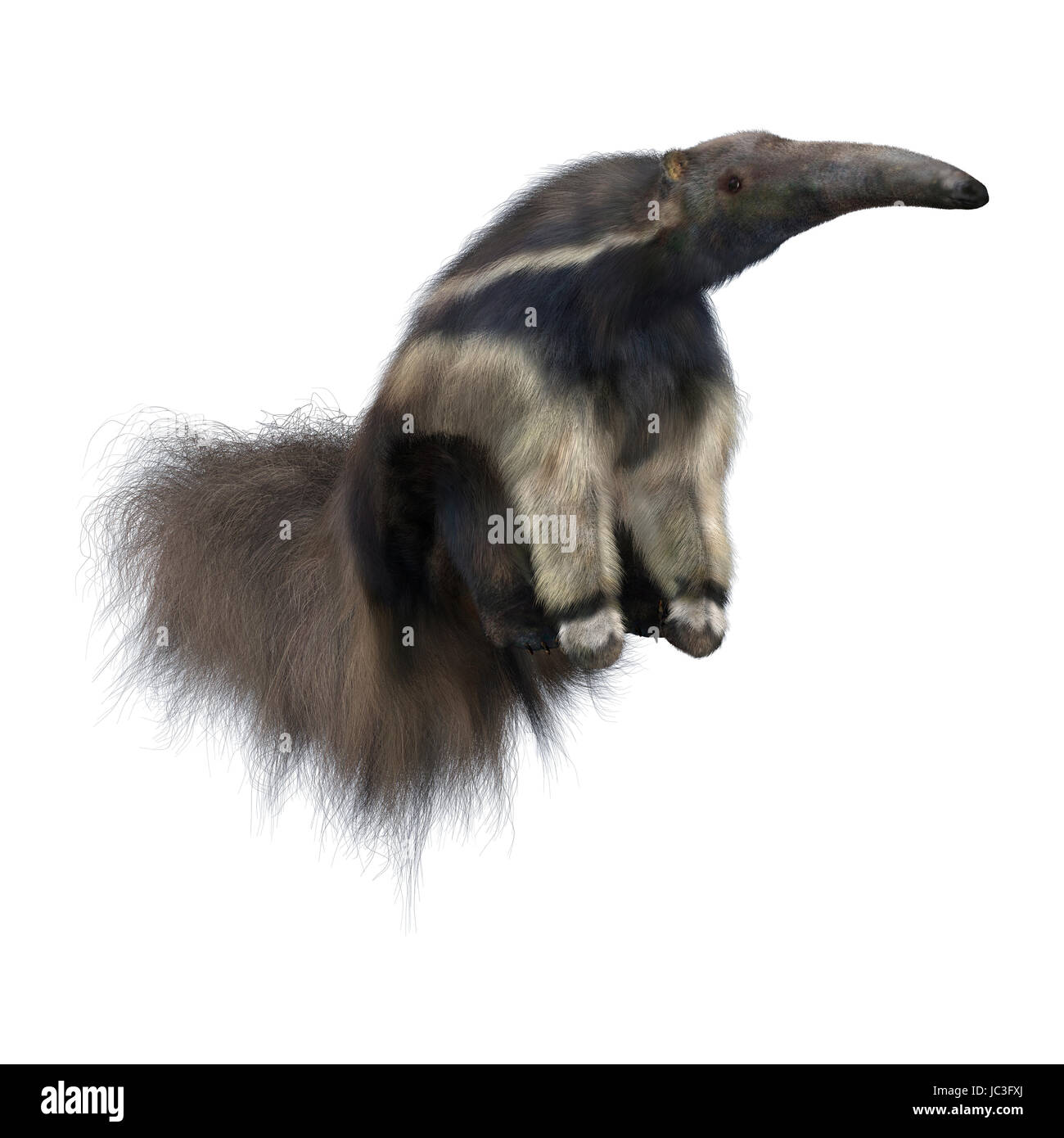 3D render digitale di un sorprendente animale anteater gigante isolato su sfondo bianco Foto Stock