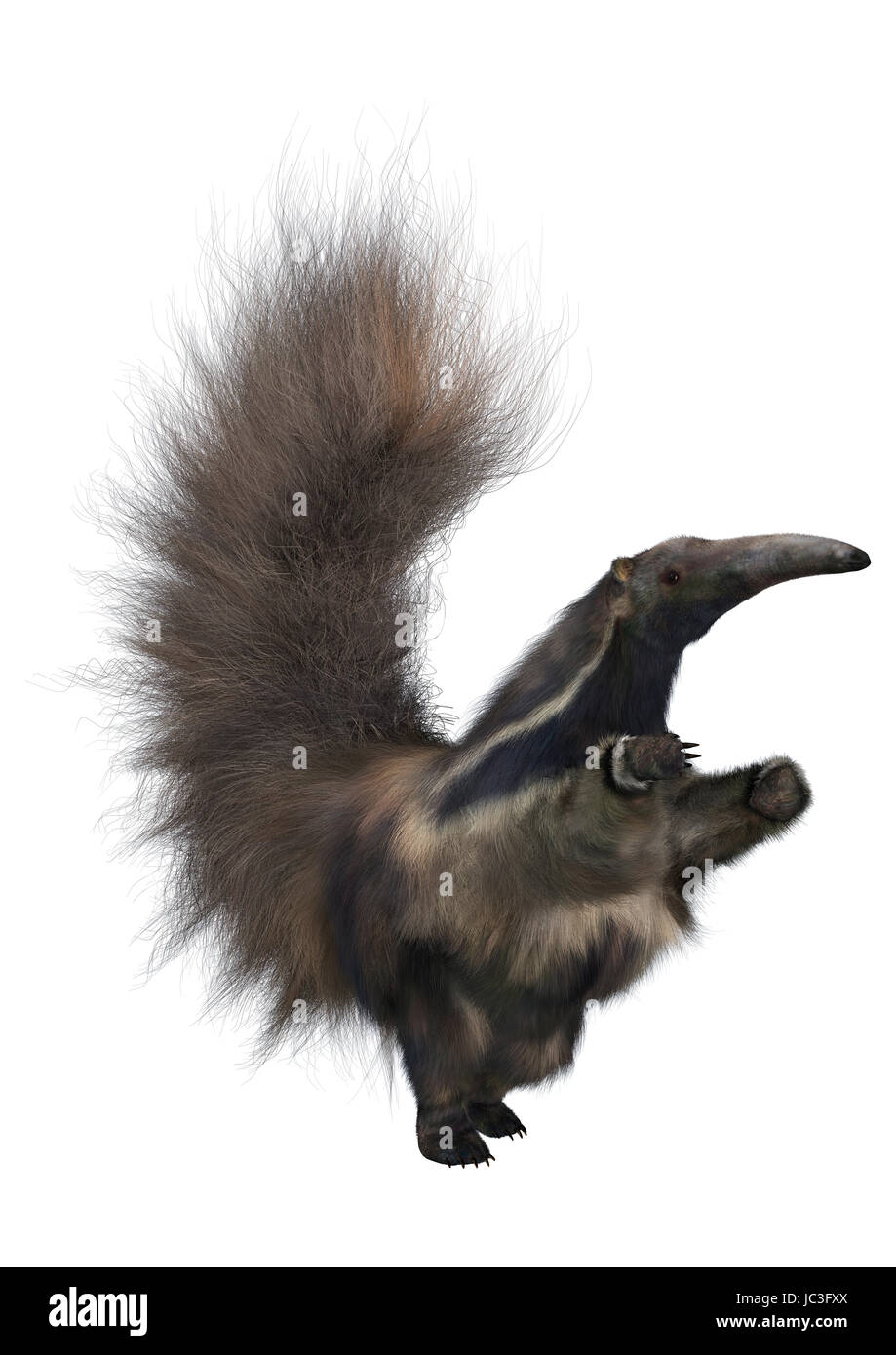 3D render digitale di un incredibile anteater animale isolato su sfondo bianco Foto Stock