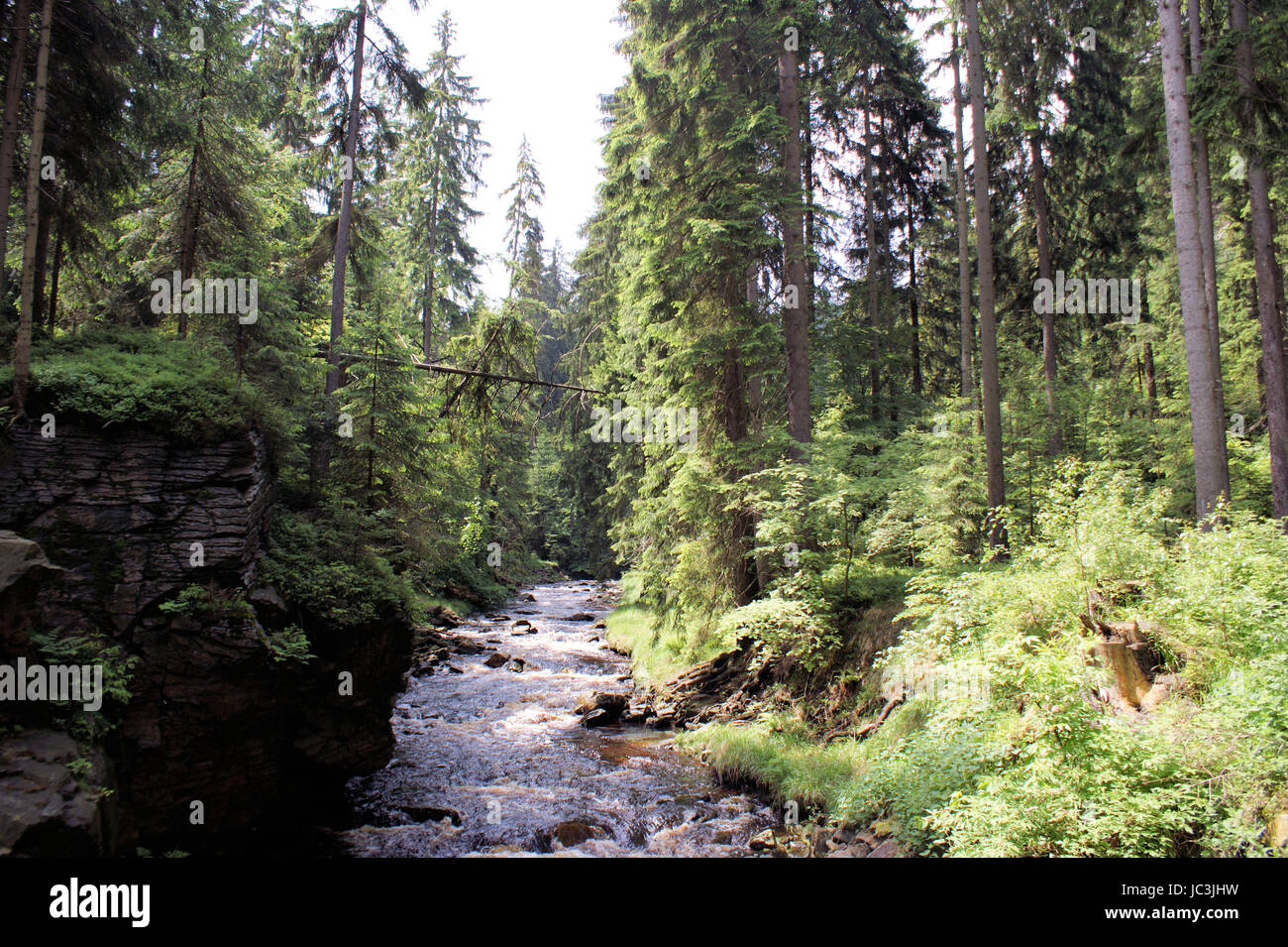 Selvaggiamente romantico Schwarzwassertal in Sassonia, Germania. Foto Stock