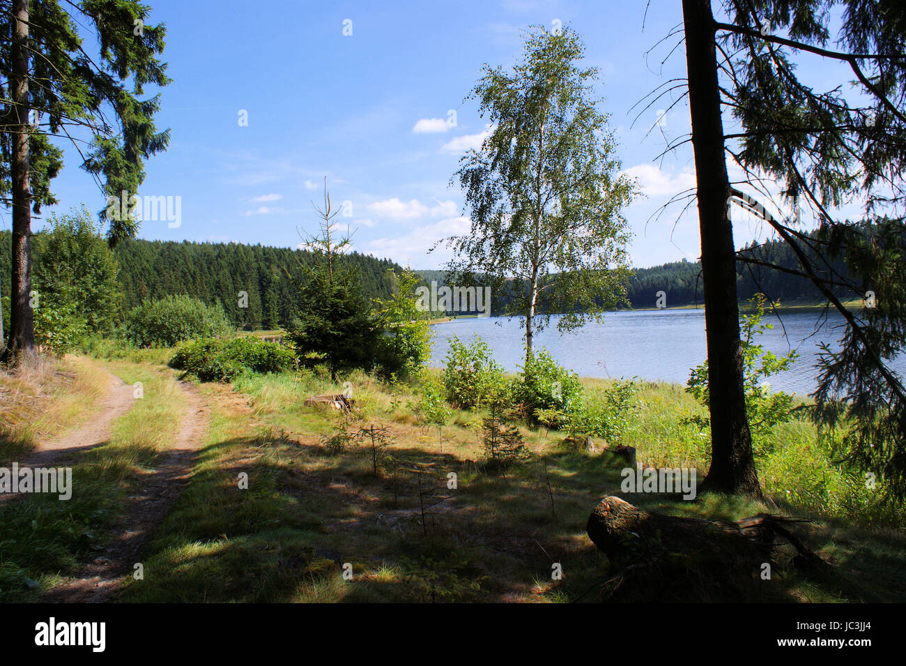Escursioni nei Monti Metalliferi in Germania, una diga lago, numerosi boschi e sentieri escursionistici Foto Stock
