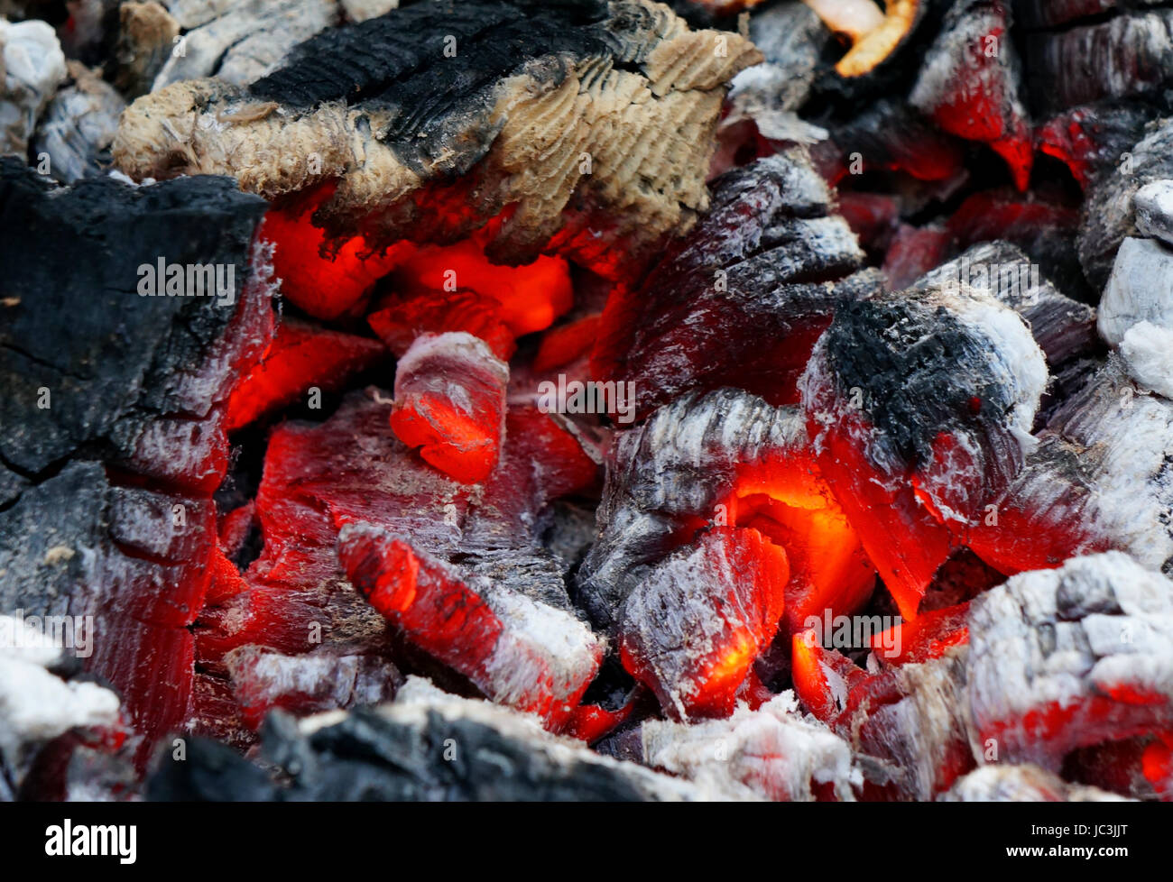 Un tizzone nella cenere closeup Foto Stock