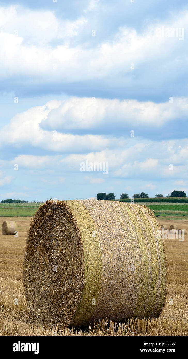 Prodotto di paglia Foto Stock