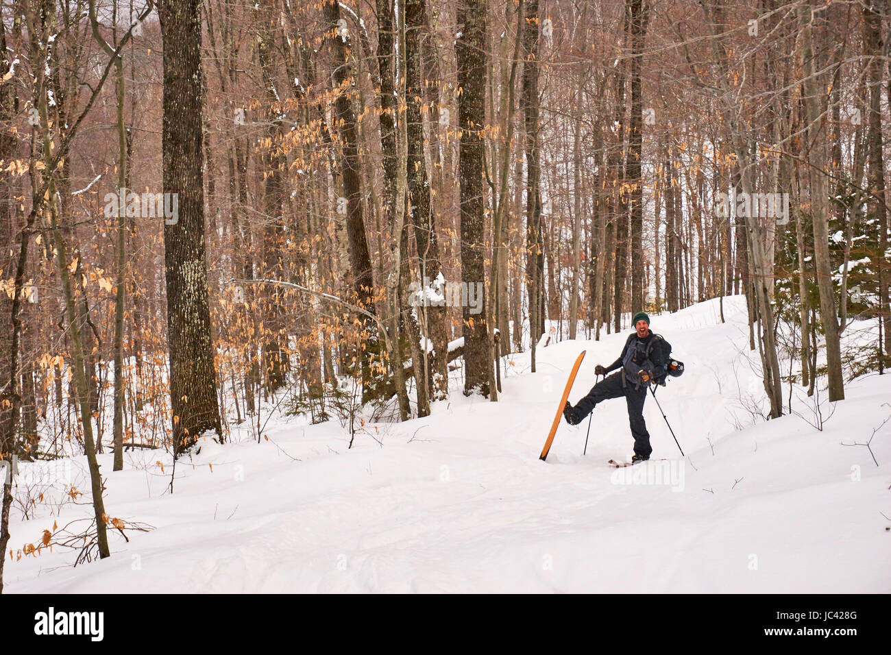 Un uomo la scuoiatura il suo modo attraverso il Vermont backcountry su splitboard. Foto Stock