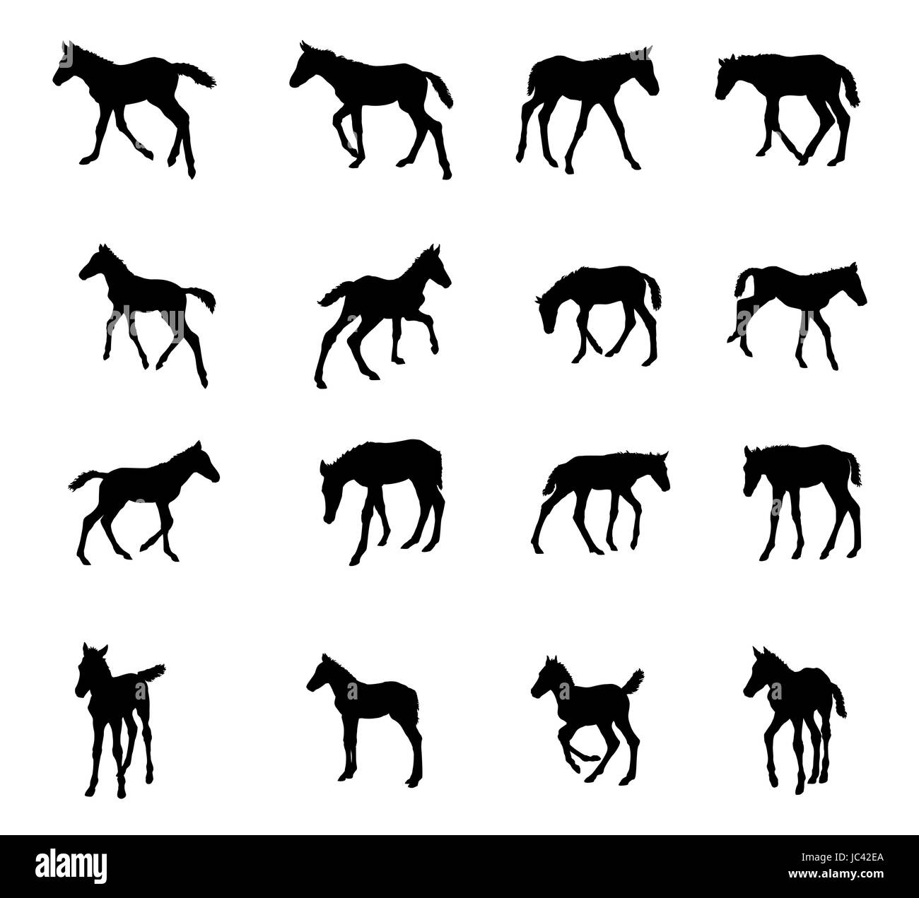 Set di piedi di vettore, trotto, al galoppo puledri silhouette nera isolati su sfondo bianco Illustrazione Vettoriale
