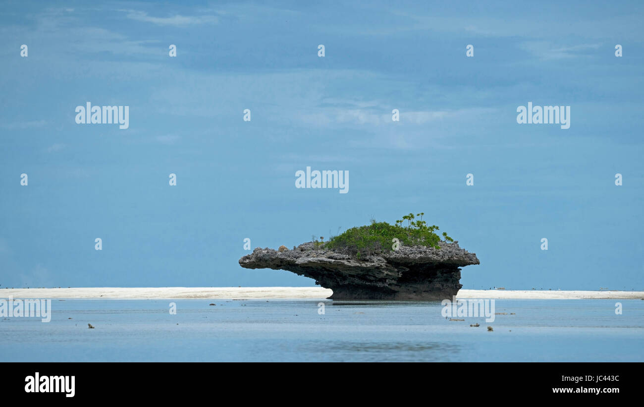 Funghi di corallo e la laguna in Isole Aldabra, Seicelle Foto Stock