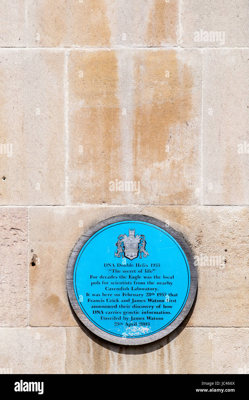 Placca rotonda, su una parete al di fuori della Eagle pub, Cambridge, Inghilterra, che commemora la scoperta presso il vicino Laboratorio Cavendish da Crick e Watson Foto Stock
