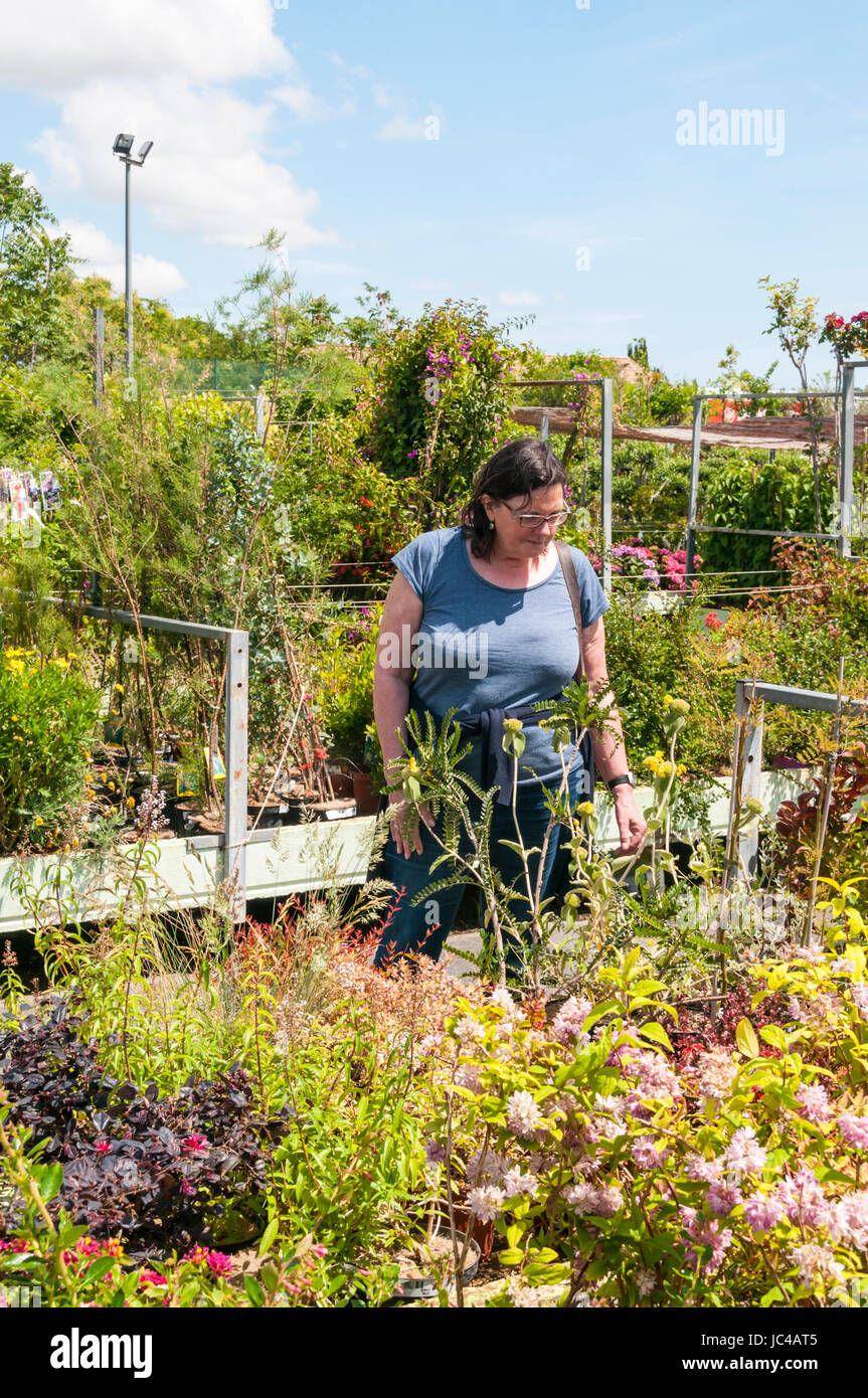Donna shopping per le piante in un giardino centrale. Foto Stock