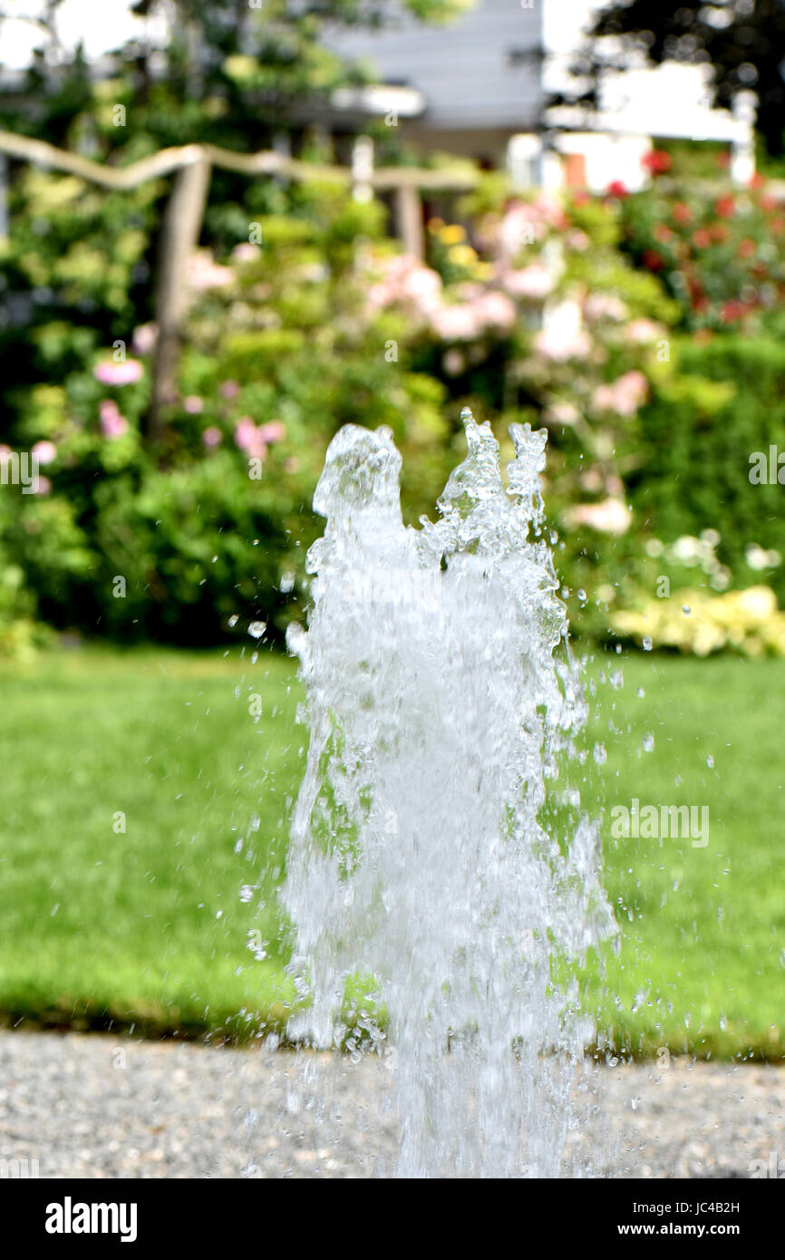 Una fontana di acqua gurgles davanti ad un giardino di rose. Foto Stock