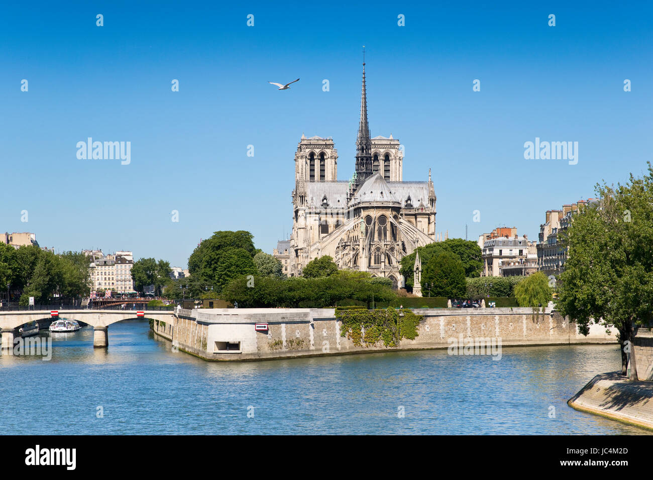 Notre Dame de Paris, Parigi, Francia Foto Stock