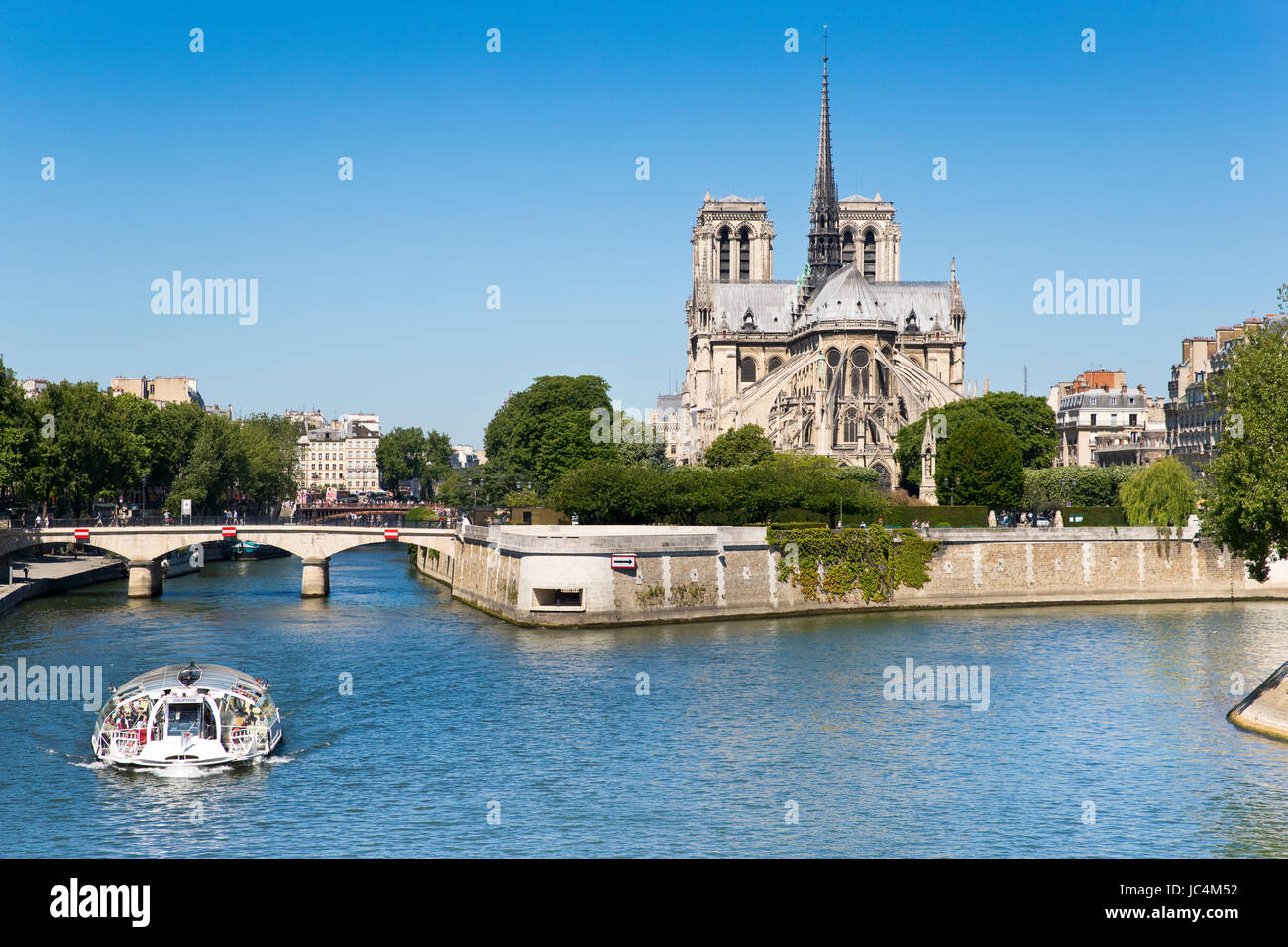 Notre Dame de Paris, Parigi, Francia Foto Stock