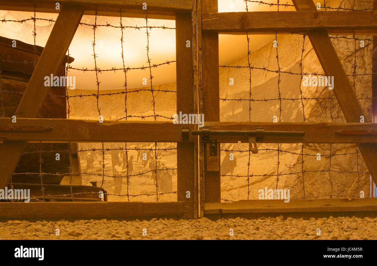 Filo spinato di un accampamento Concenration , Oskar Schindler's Factory, Museo storico di Cracovia , Cracovia, Piccola Polonia, Europa Foto Stock