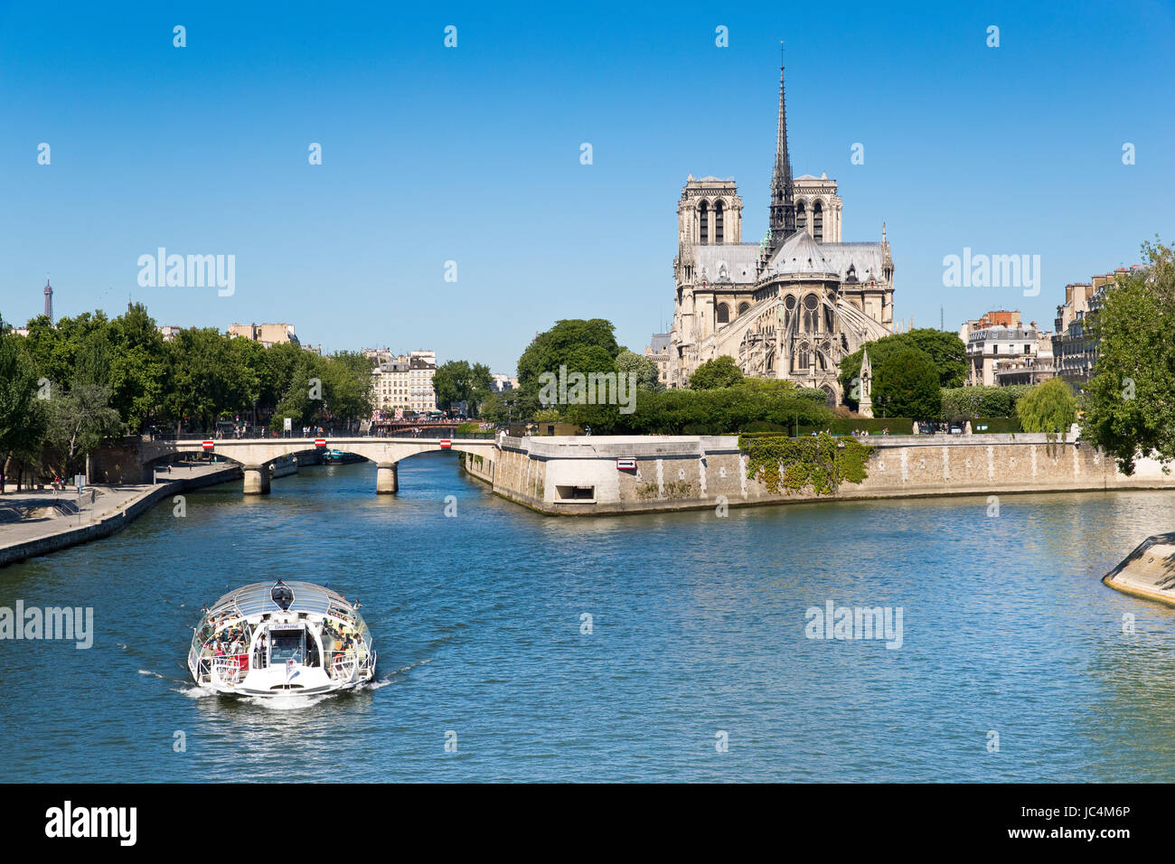 Notre Dame de Paris, Parigi, Francia Foto Stock