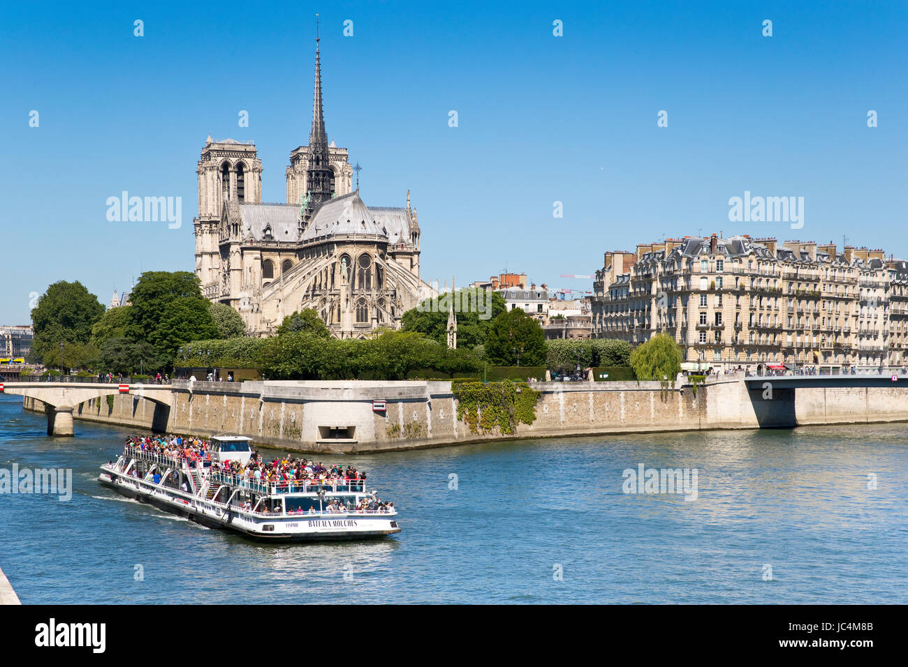 Notre Dame de Paris, Parigi, Francia Foto Stock