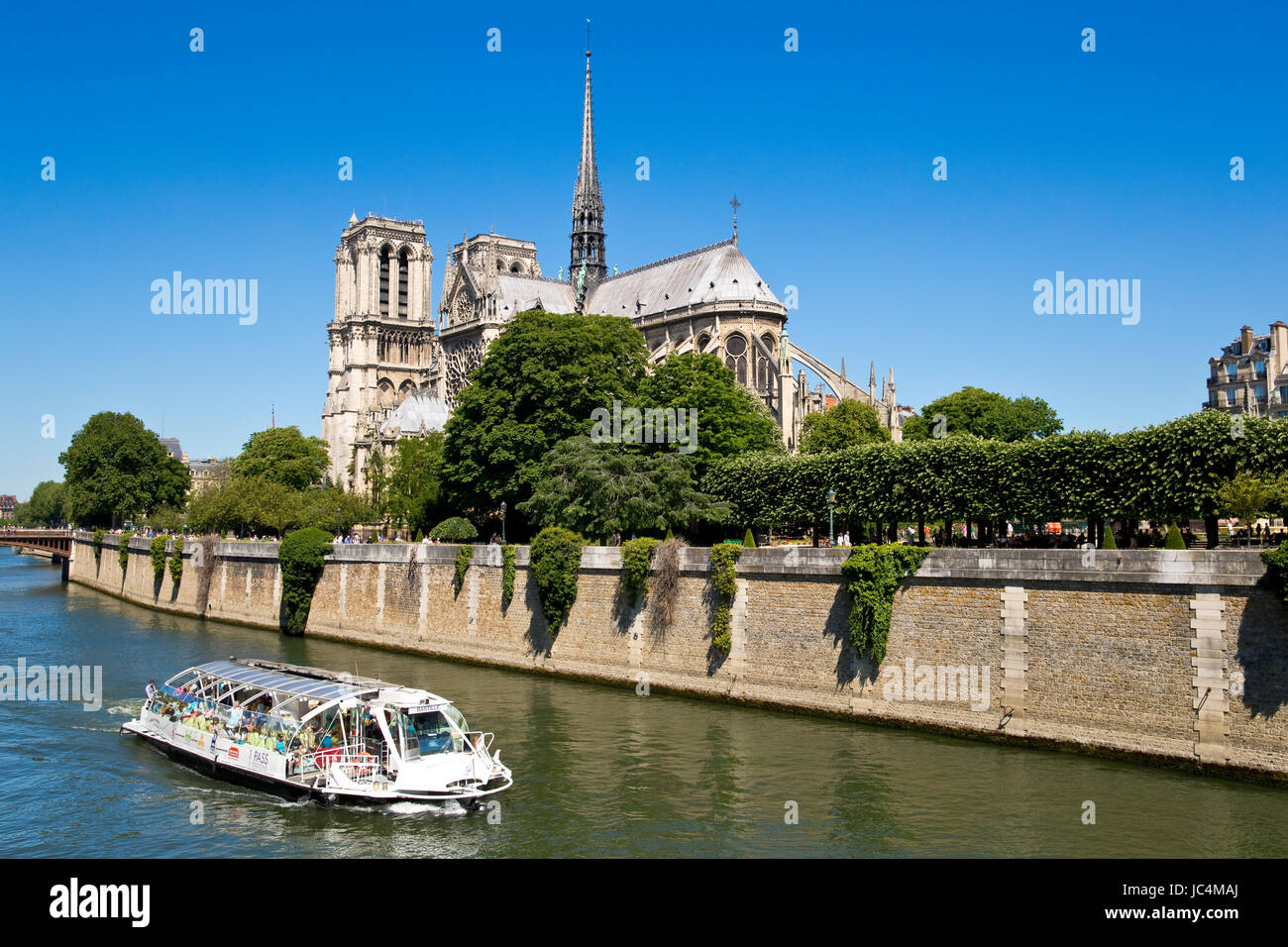 Notre Dame de Paris, Parigi, Francia Foto Stock