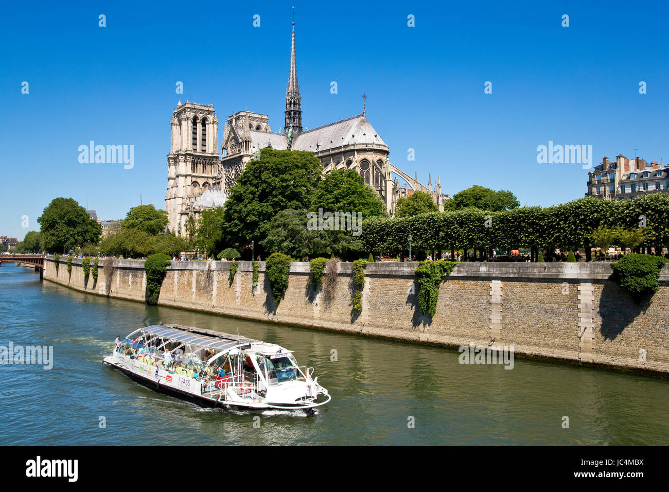 Notre Dame de Paris, Parigi, Francia Foto Stock
