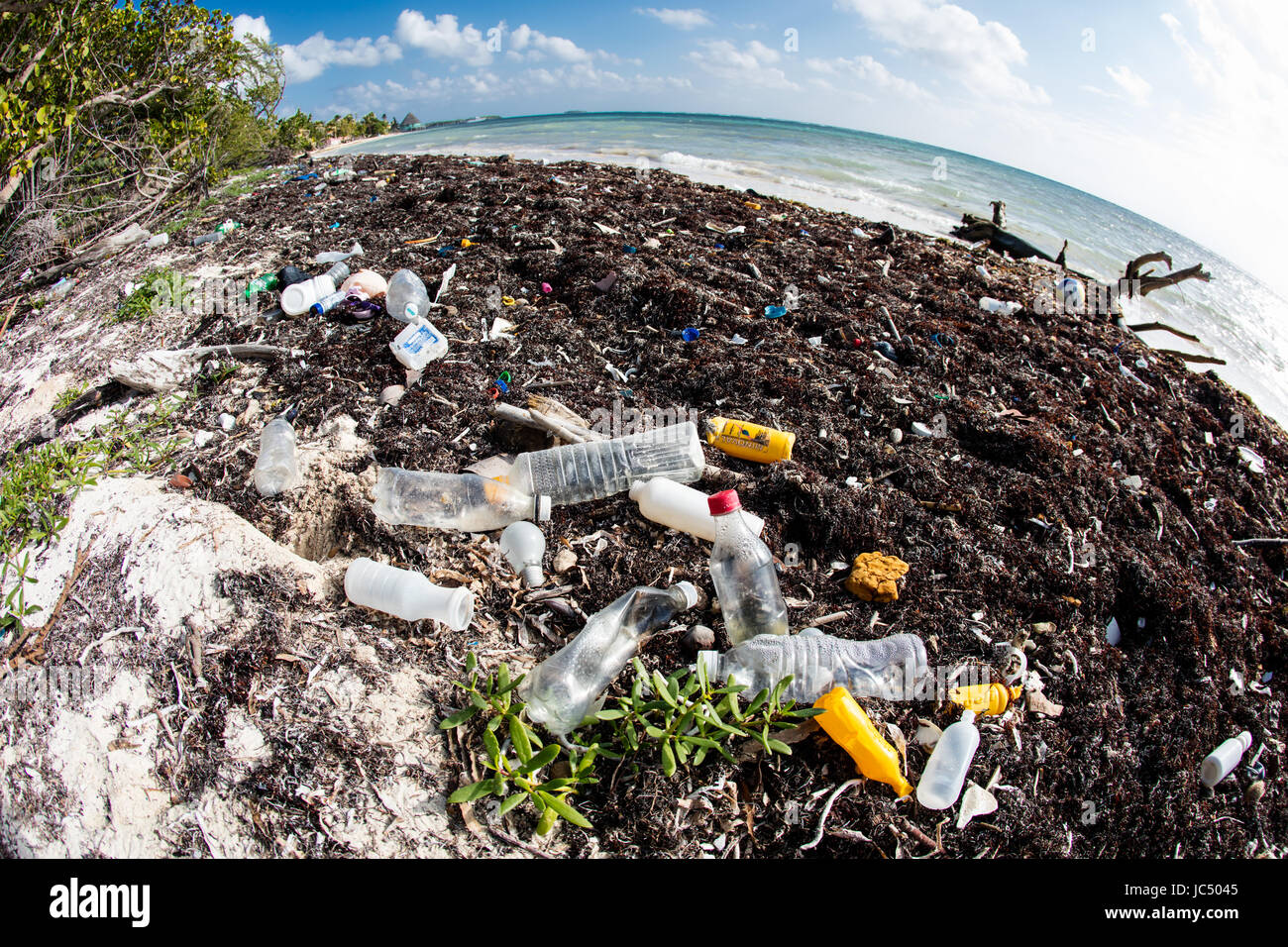 Bottiglie di plastica e di altri rifiuti hanno lavato fino a una spiaggia remota nel Mar dei Caraibi. Materie plastiche rompere in piccoli pezzi che entrano nella catena alimentare. Foto Stock