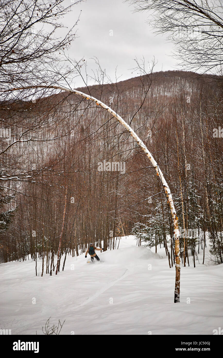 Un splitboarder snowboard in Vermont backcountry. Foto Stock