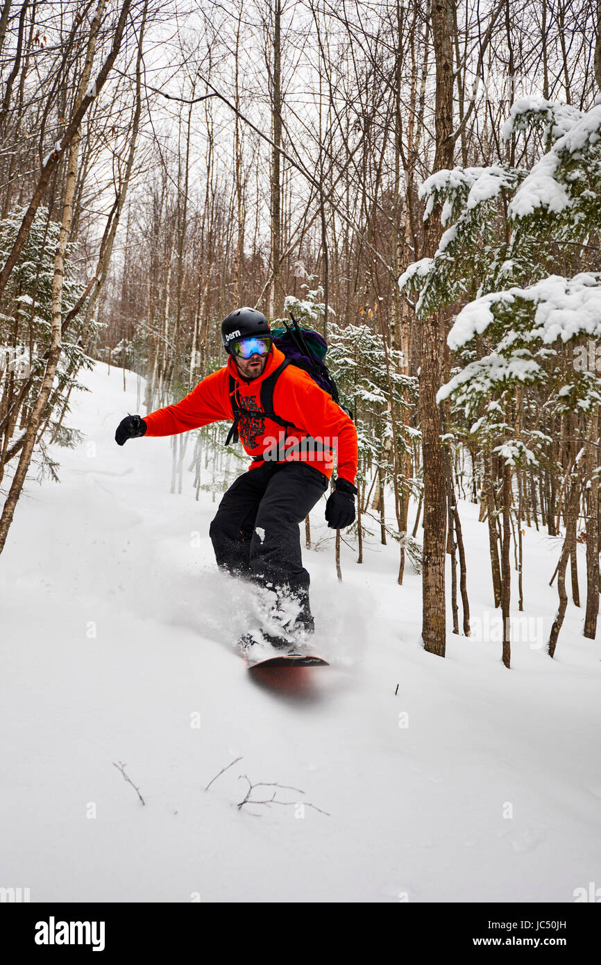 Un splitboarder snowboard in Vermont backcountry. Foto Stock