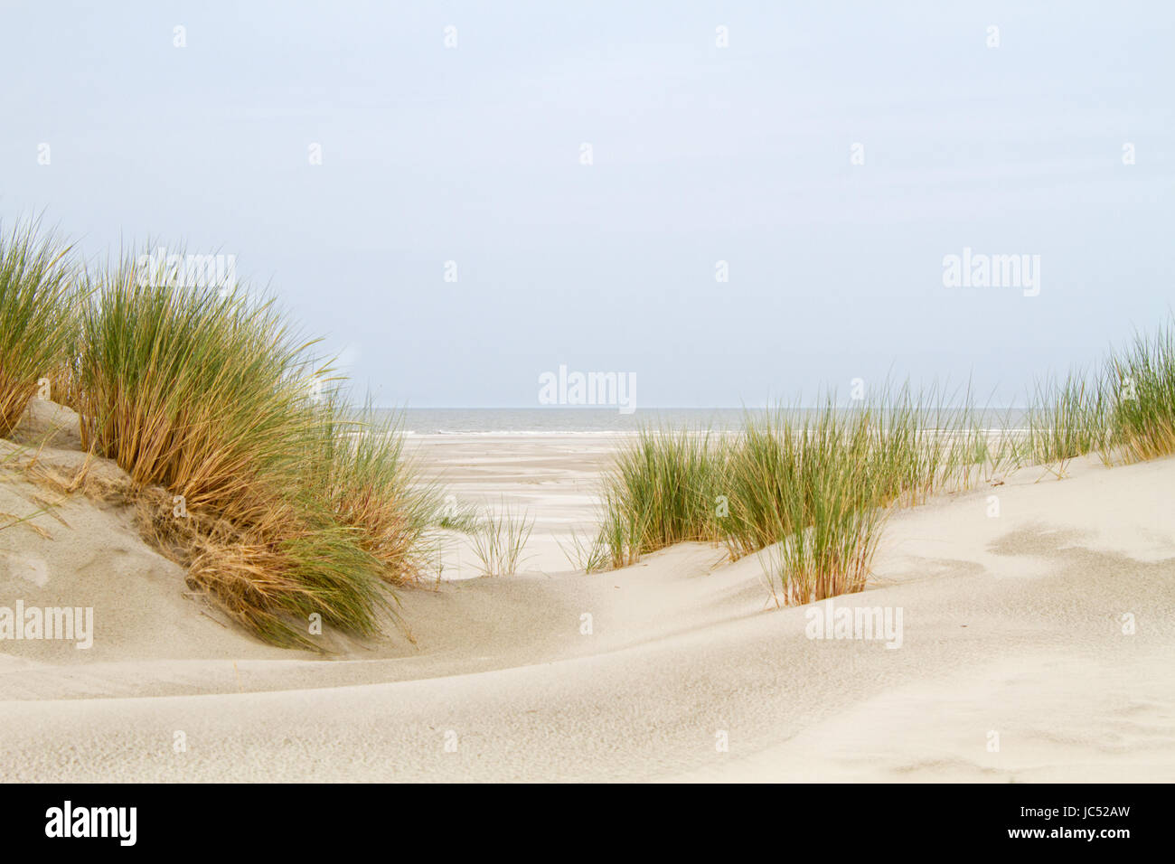 Vista tra due dune cresciuto con Marram grass su una vasta spiaggia e il mare Foto Stock