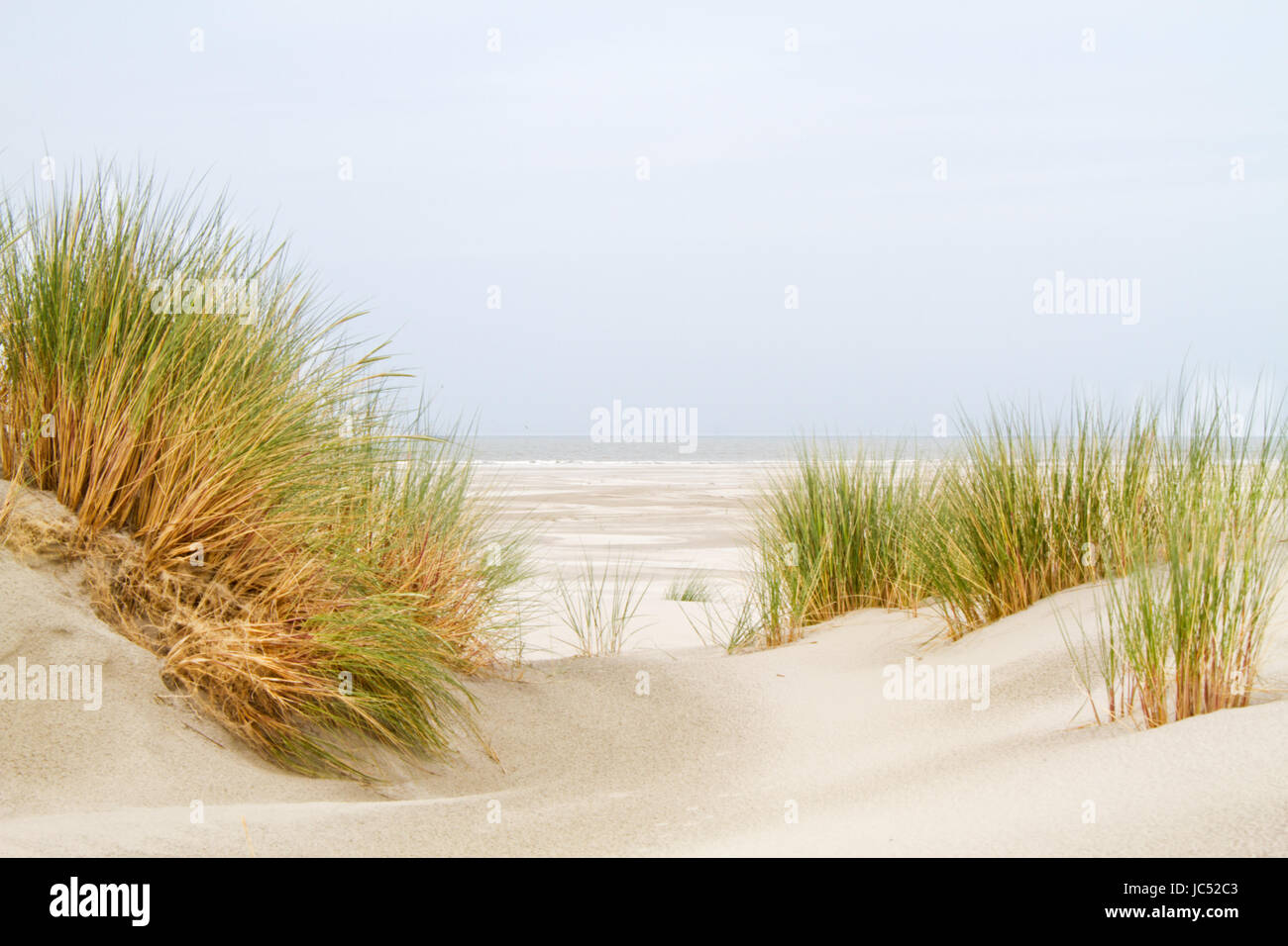Vista tra due dune cresciuto con Marram grass su una vasta spiaggia e il mare Foto Stock