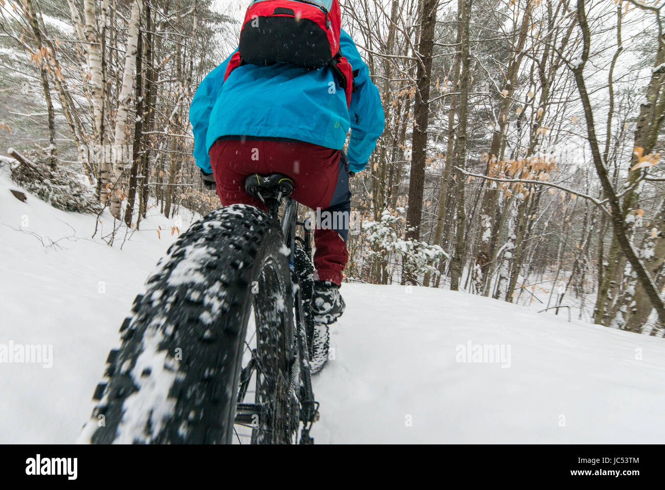 A cavallo di un Fat Tire Bike in una foresta innevata. Foto Stock