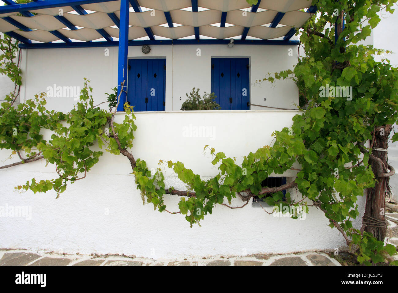 Grecia CICLADI, Paros, Parikia, scene di strada, impianto di vigna, house, Foto Stock