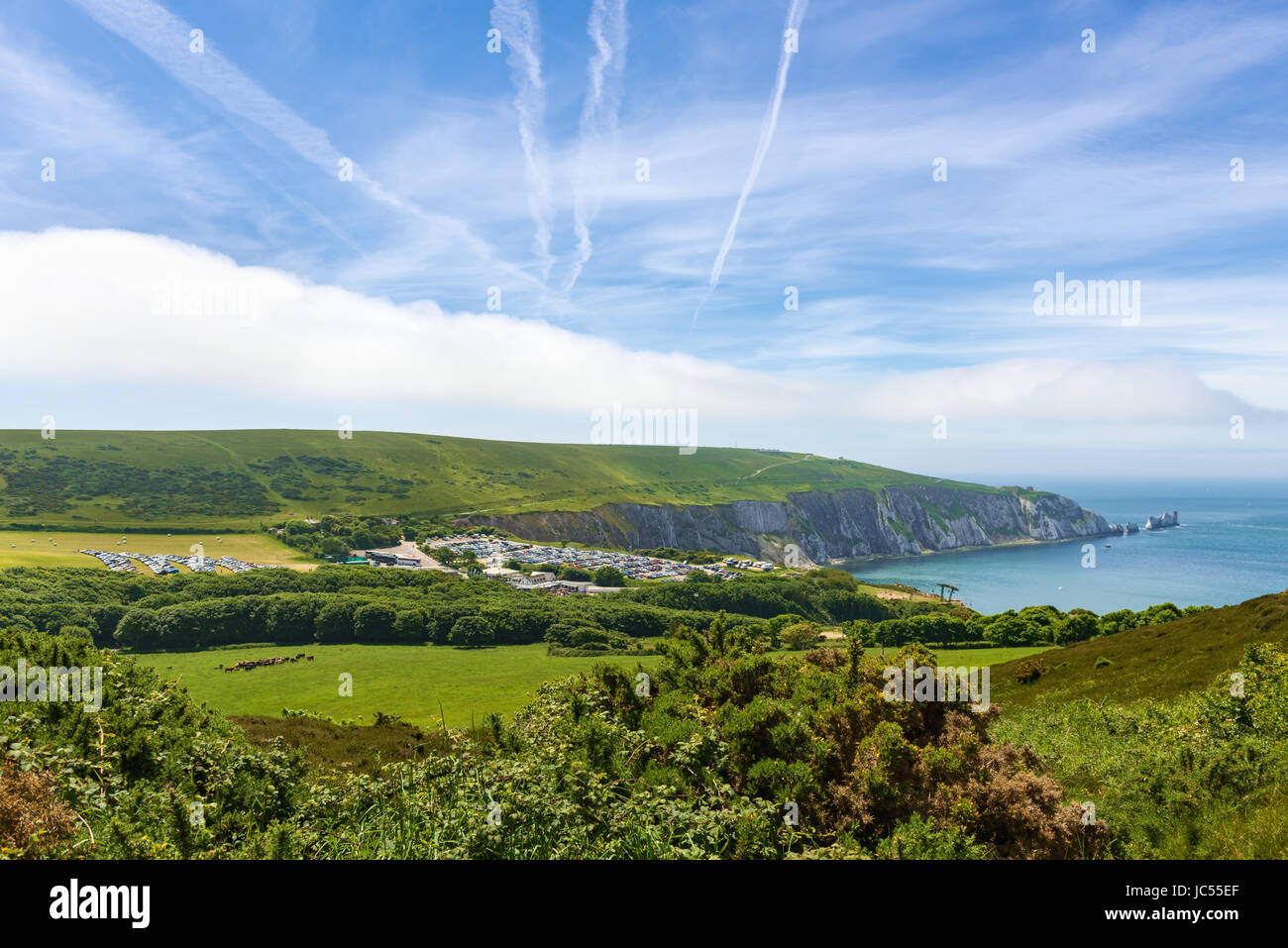 Aghi e piena auto park, Isle of Wight, Regno Unito Foto Stock