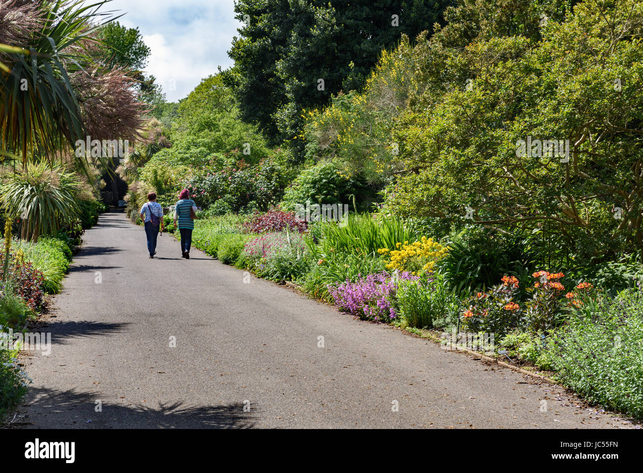 Giardino murato, Ventnor Botanic Gardens, Isle of Wight, Regno Unito Foto Stock