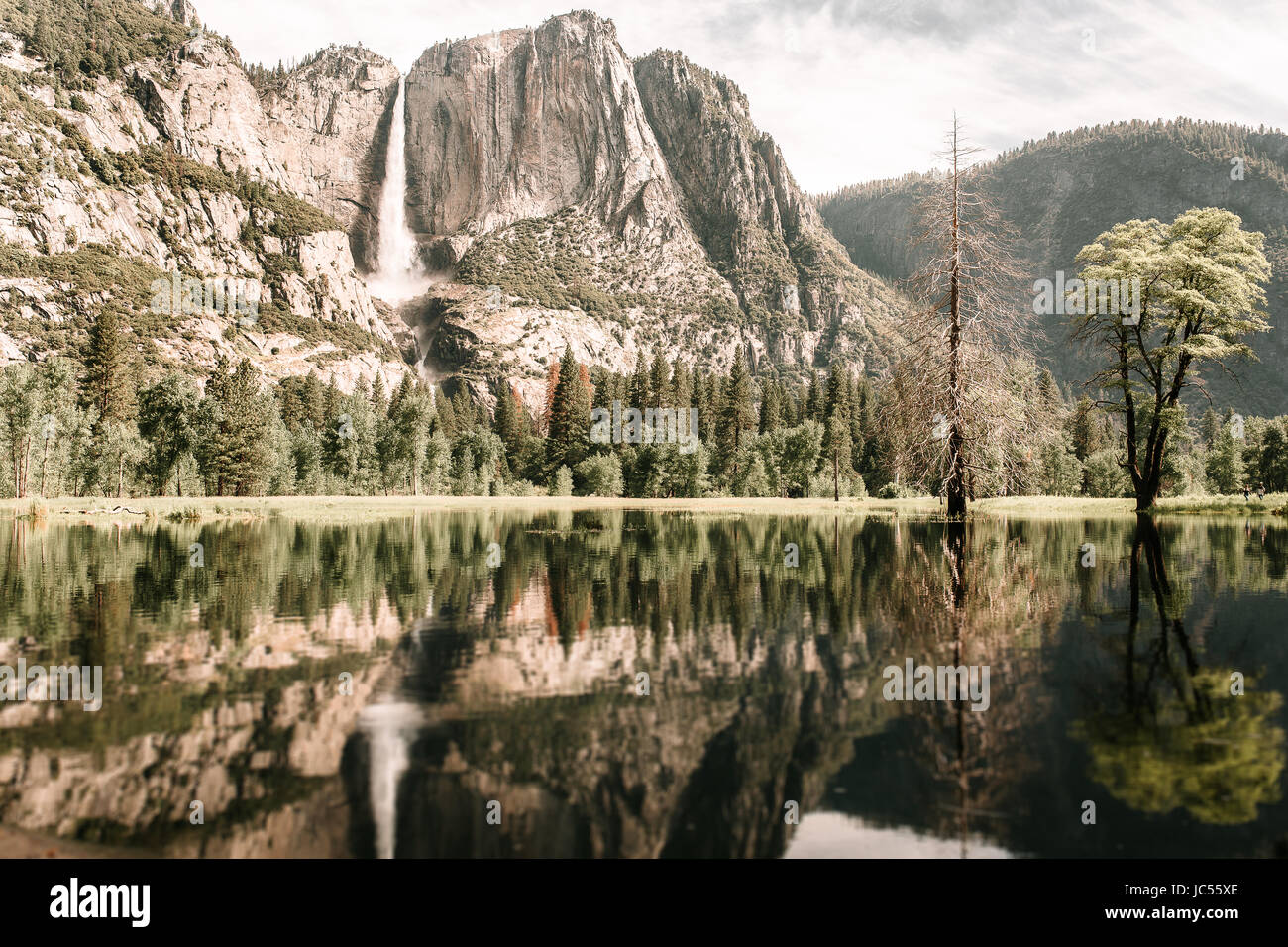 Parco Nazionale di Yosemite Yosemite Falls mattina Foto Stock