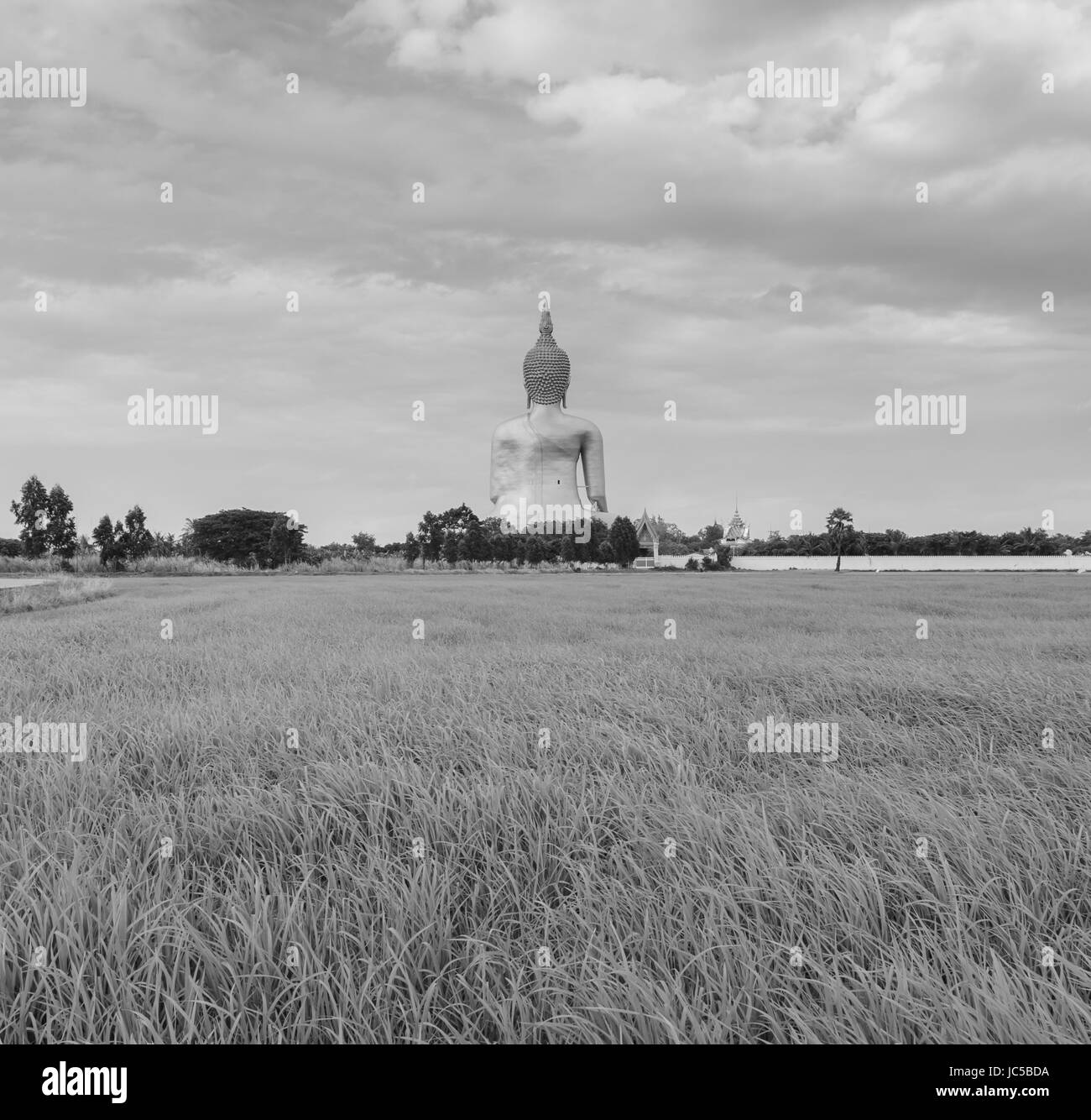 Grande Buddha della Thailandia, il più alto statua in Thailandia Foto Stock