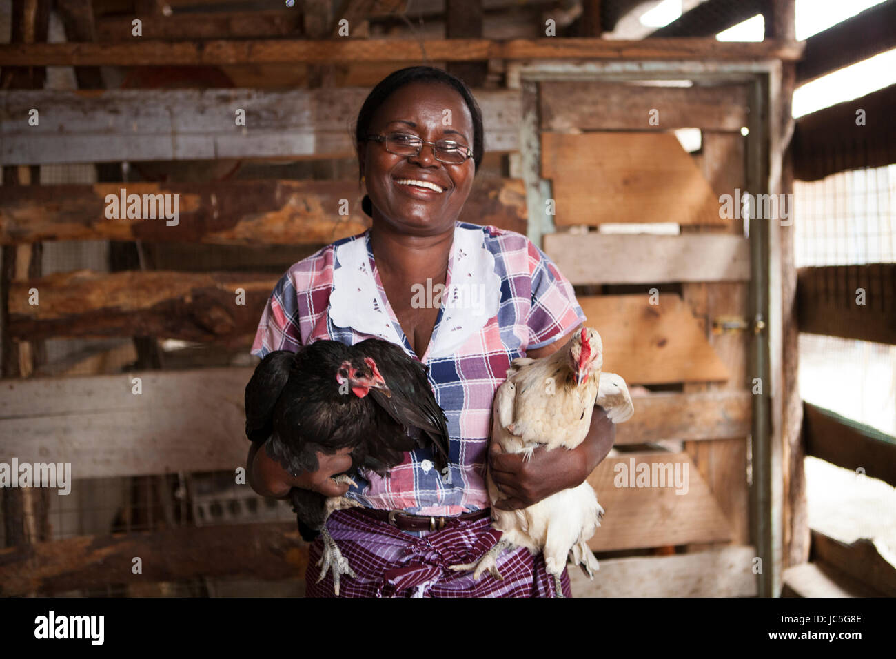 Una femmina di small business pollame contadino in Tanzania, Africa. Foto Stock