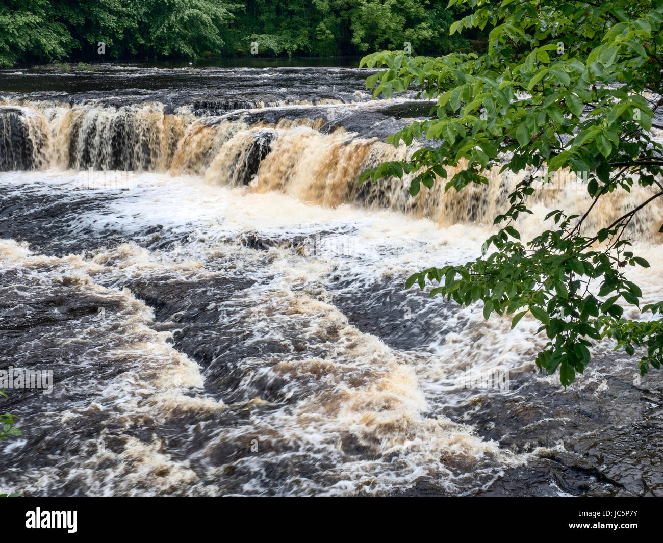 Aysgarth superiore cade sul Fiume Ure in Wensleydale Yorkshire Dales North Yorkshire, Inghilterra Foto Stock