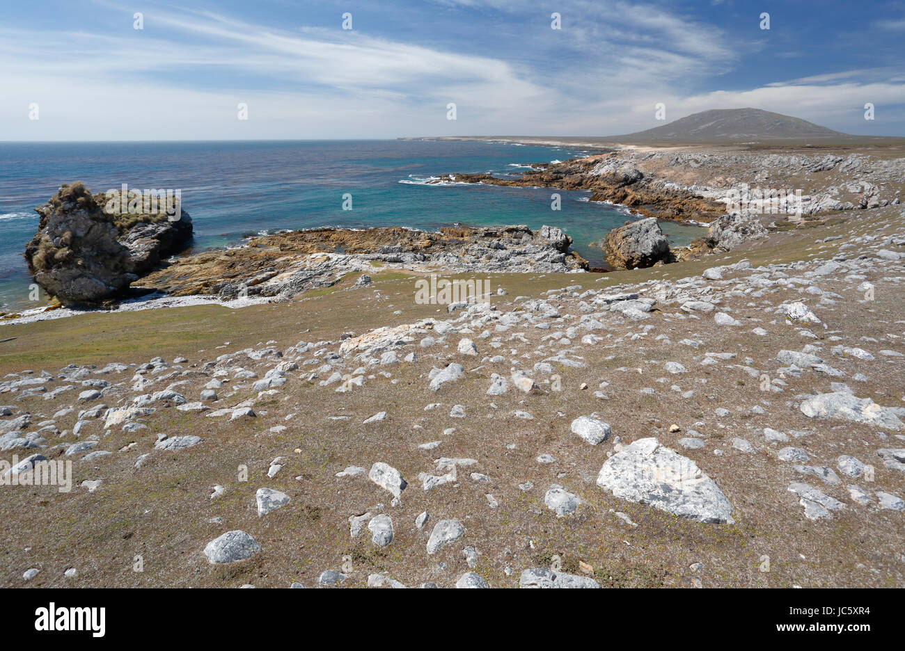 Vista dell'isola di ghiaia, Isole Falkland Foto Stock