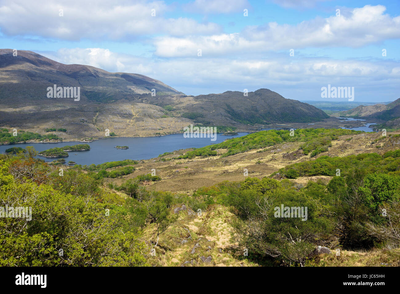 Lo scenario, ladies view, parco nazionale di Killarney, Irlanda, Gran Bretagna , Landschaft, Ladies View, Killarney Nationalpark, Irlanda, Grossbritannien Foto Stock
