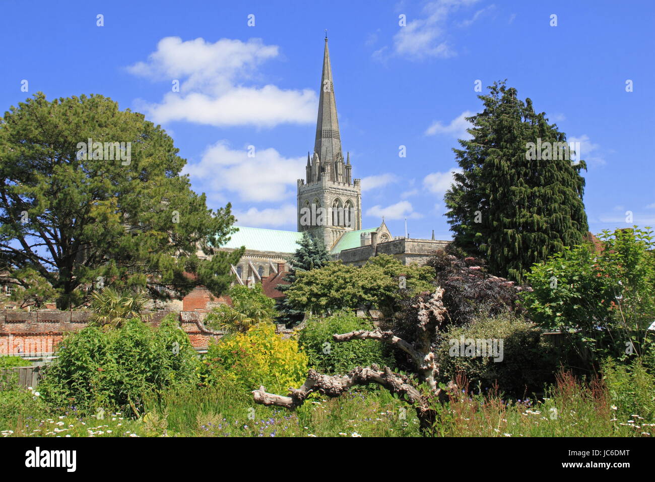 Palazzo del Vescovo giardino, Chichester Cathedral, Chichester, West Sussex, in Inghilterra, in Gran Bretagna, Regno Unito, Gran Bretagna, Europa Foto Stock