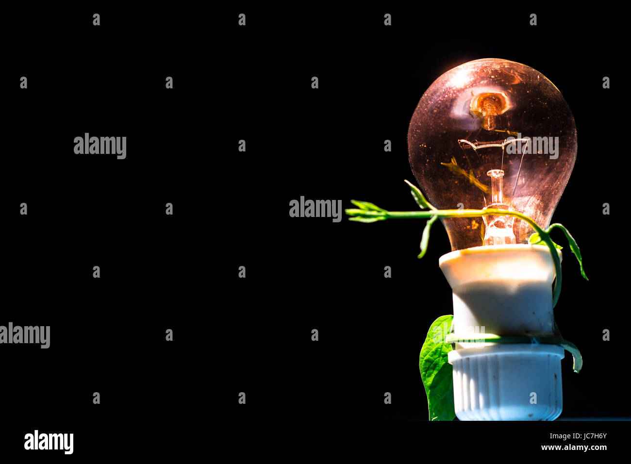 Lampada Foto Stock