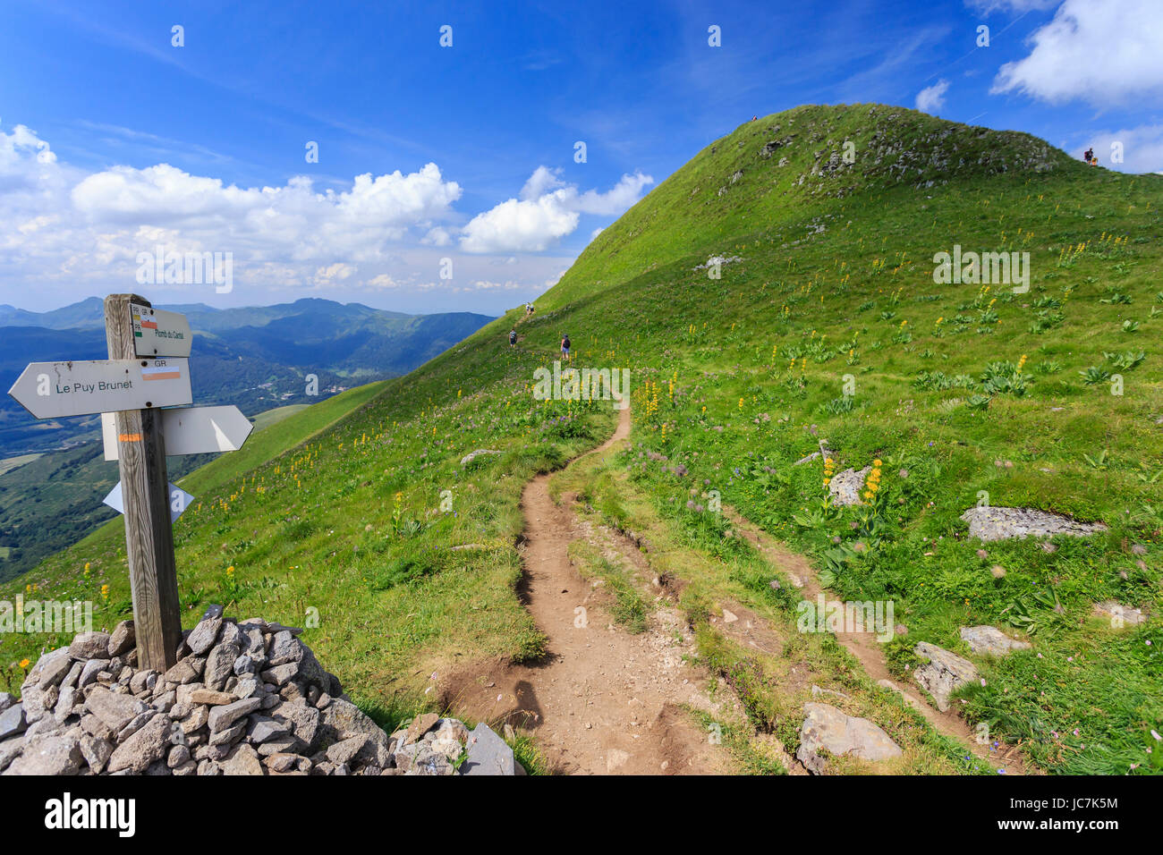 Francia, Cantal (15), le Plomb du Cantal, sentier sur son flanc à droite le sommet // Francia, Cantal, Plomb du Cantal, percorso sul suo lato e la parte superiore su Foto Stock