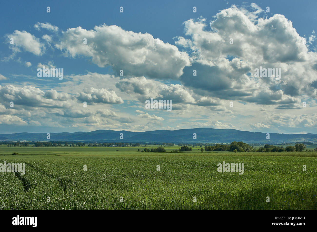 Blu cielo nuvoloso oltre il gufo montagne molla verde dei campi e boschi, fioritura fiori selvatici nel giugno mattina di sole Bassa Slesia Polonia Foto Stock