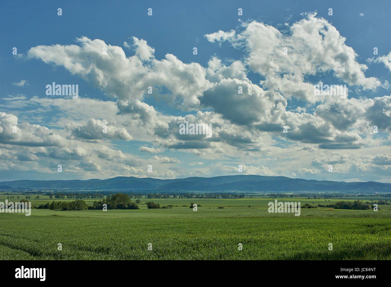 Blu cielo nuvoloso oltre il gufo montagne molla verde dei campi e boschi, fioritura fiori selvatici nel giugno mattina di sole Bassa Slesia Polonia Foto Stock