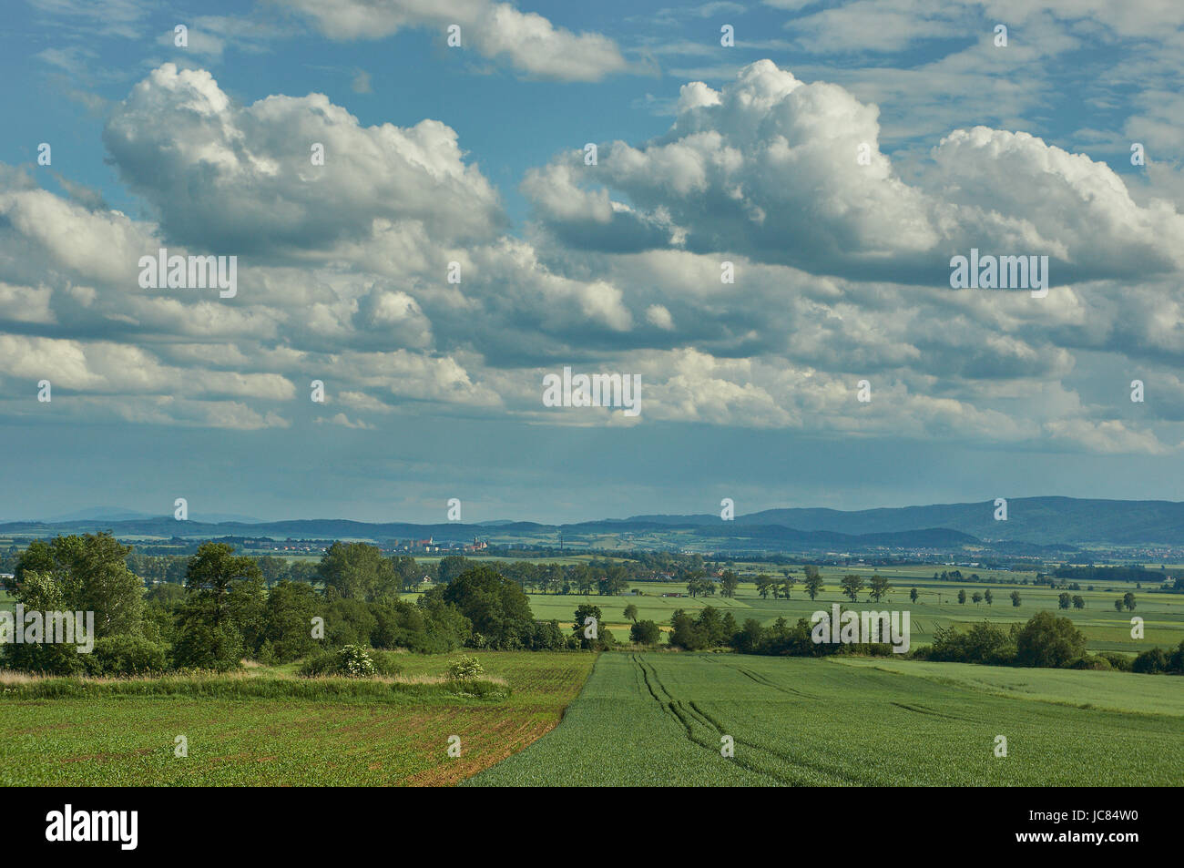 Blu cielo nuvoloso oltre il gufo montagne molla verde dei campi e boschi, fioritura fiori selvatici nel giugno mattina di sole Bassa Slesia Polonia Foto Stock