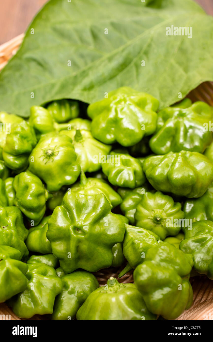 Grüner Chili Paprika mit Blatt im Hochformat Foto Stock