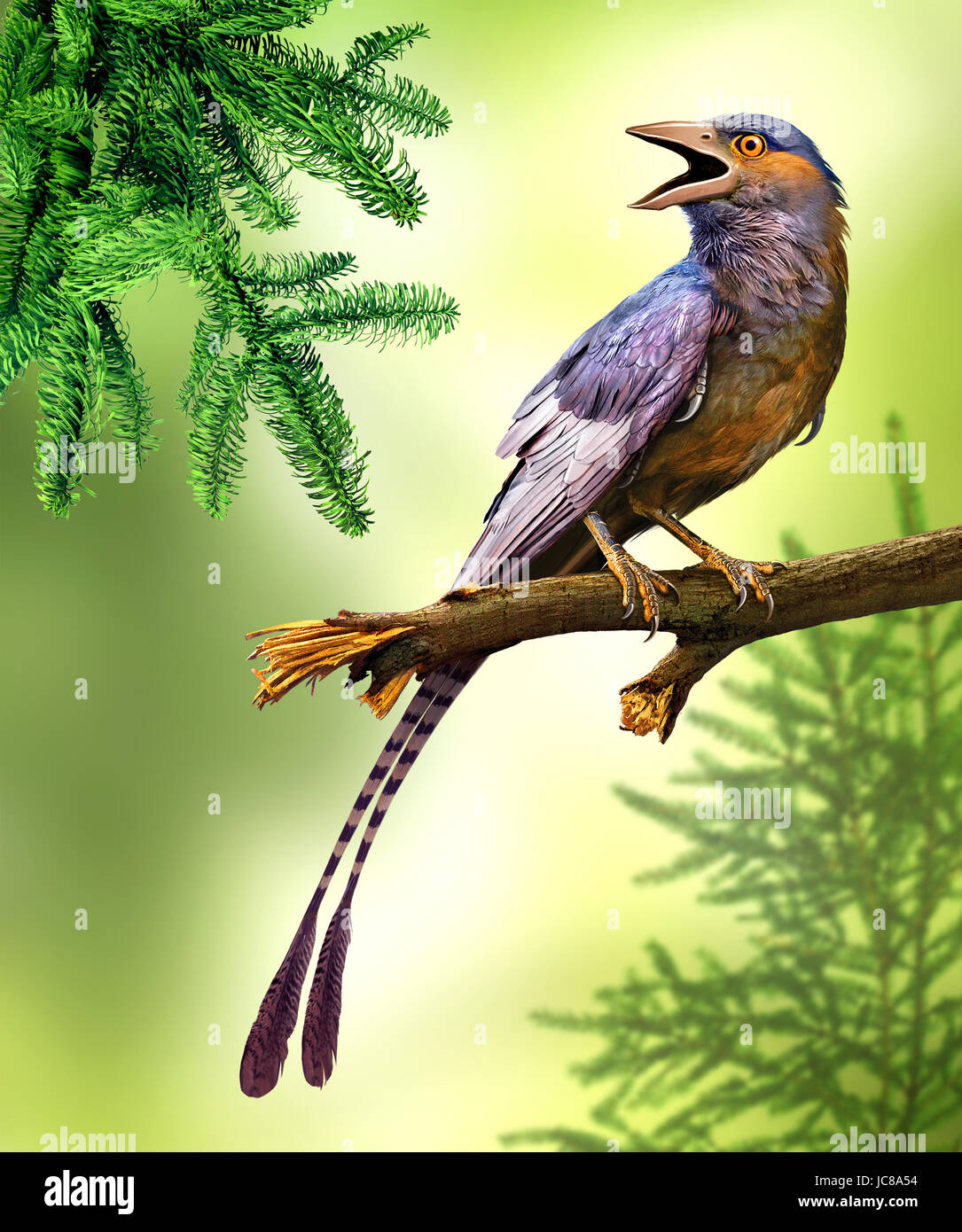 Confuciusornis è un genere di primitiva di crow-dimensionato gli uccelli dal Primo Cretaceo Foto Stock