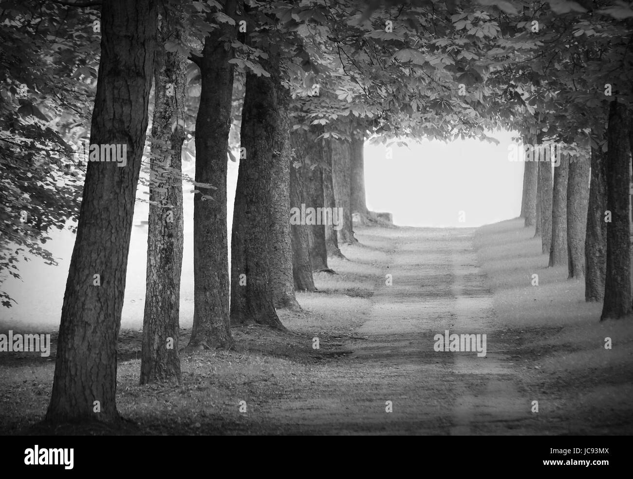 Dormire in luce Foto Stock