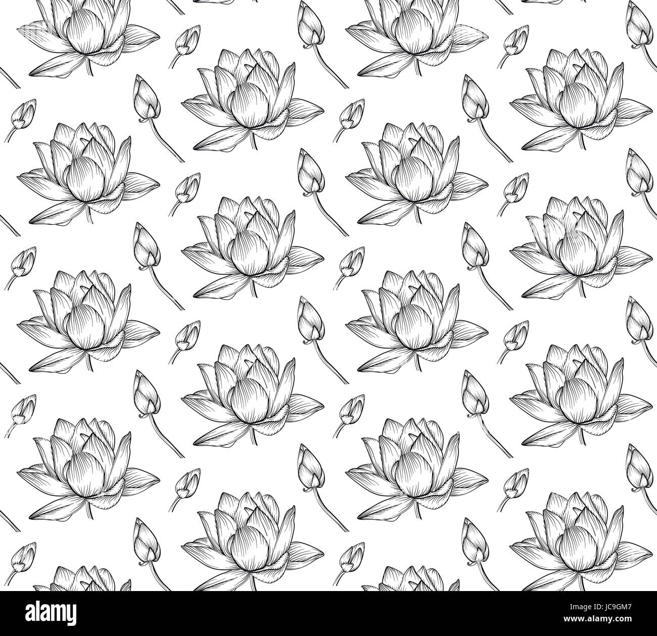 Lotus acqua giglio vettore splendidi fiori in linea, in bianco e nero tattoo art illustrazione. Disegnata a mano lineare fine fioritura di piante, floreali, botanica moderna Illustrazione Vettoriale