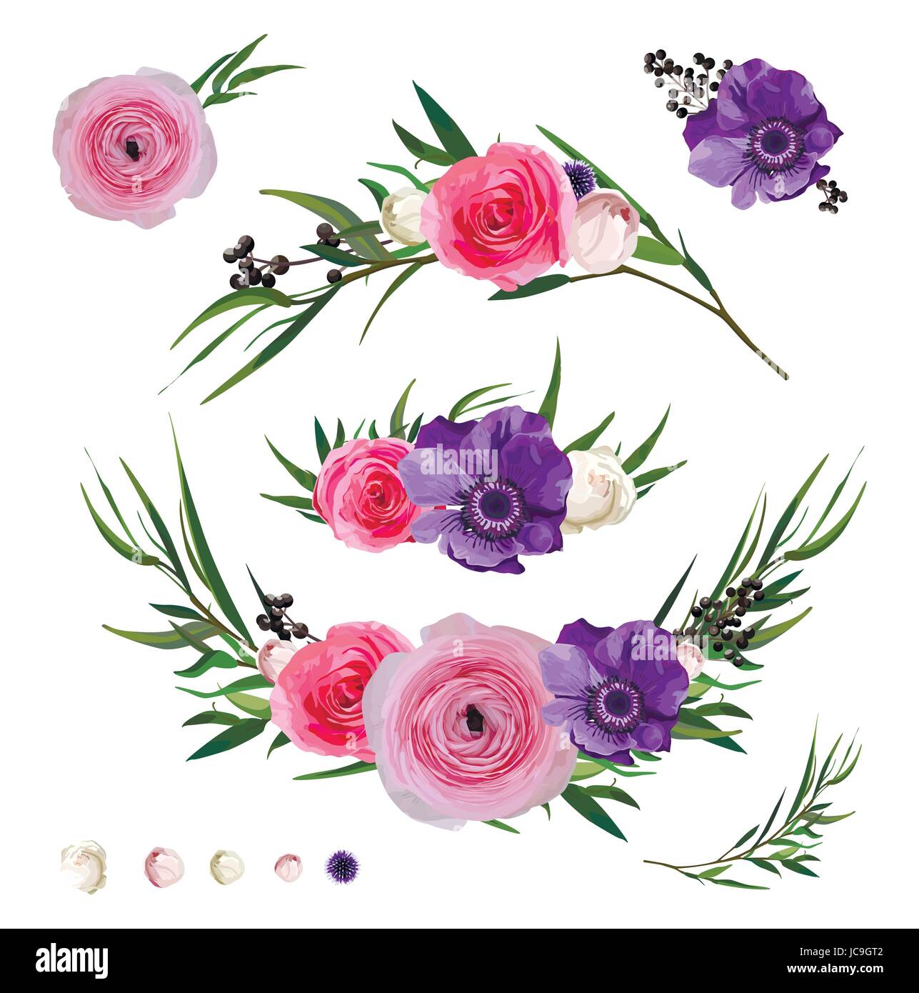 Ranunculus flower Rose Anemone ligustro berry rami di eucalipto, Thistle fiori e piante decorative grande vettore collezione. Elementi isolati impostato su Illustrazione Vettoriale