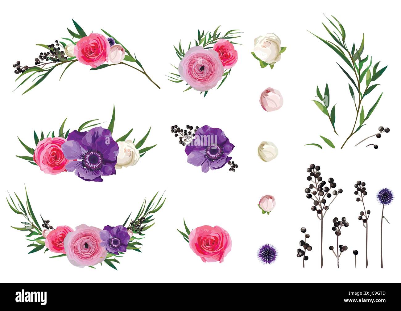 Ranunculus flower, Rose, Anemone, Ligustro berry, ramo di eucalipto, Thistle fiori piante decorative grande vettore collezione. Isolati gli elementi modificabili Illustrazione Vettoriale
