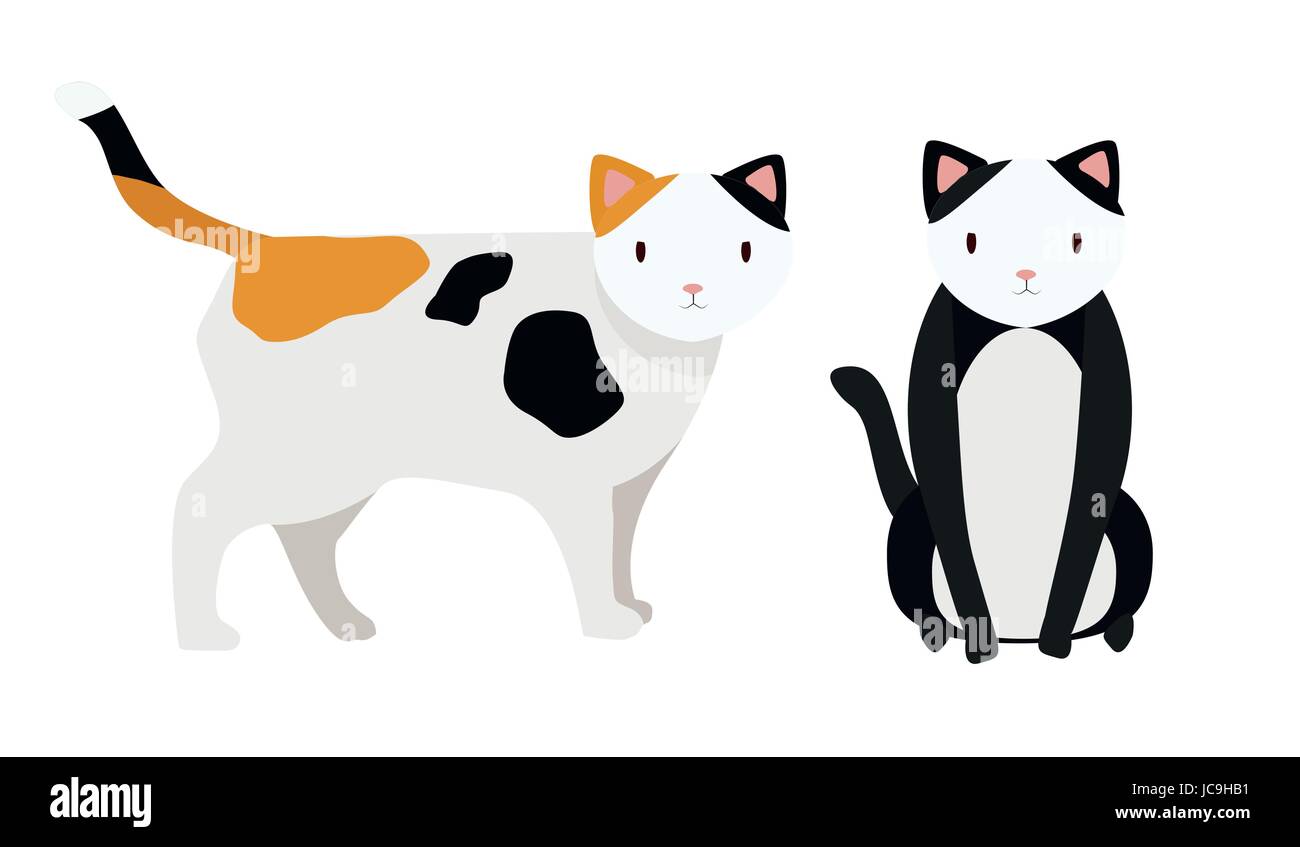 Gatto gatti a piena lunghezza grappino puss aggrappatore pussycat tomcat, maschio femmina gib muso seduta permanente di design piatto segno arte cartello poster vettore icona Illustrazione Vettoriale