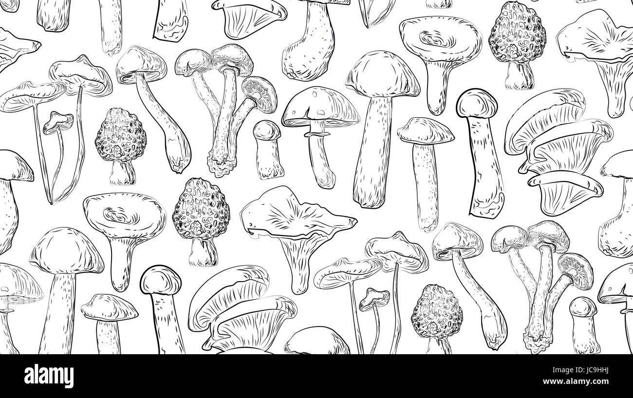 Foresta di funghi commestibili chanterelle oyster percini cap boletus greaser miele agaric aspen russule seamless pattern . Il vettore orizzontale lato closeup vi Illustrazione Vettoriale